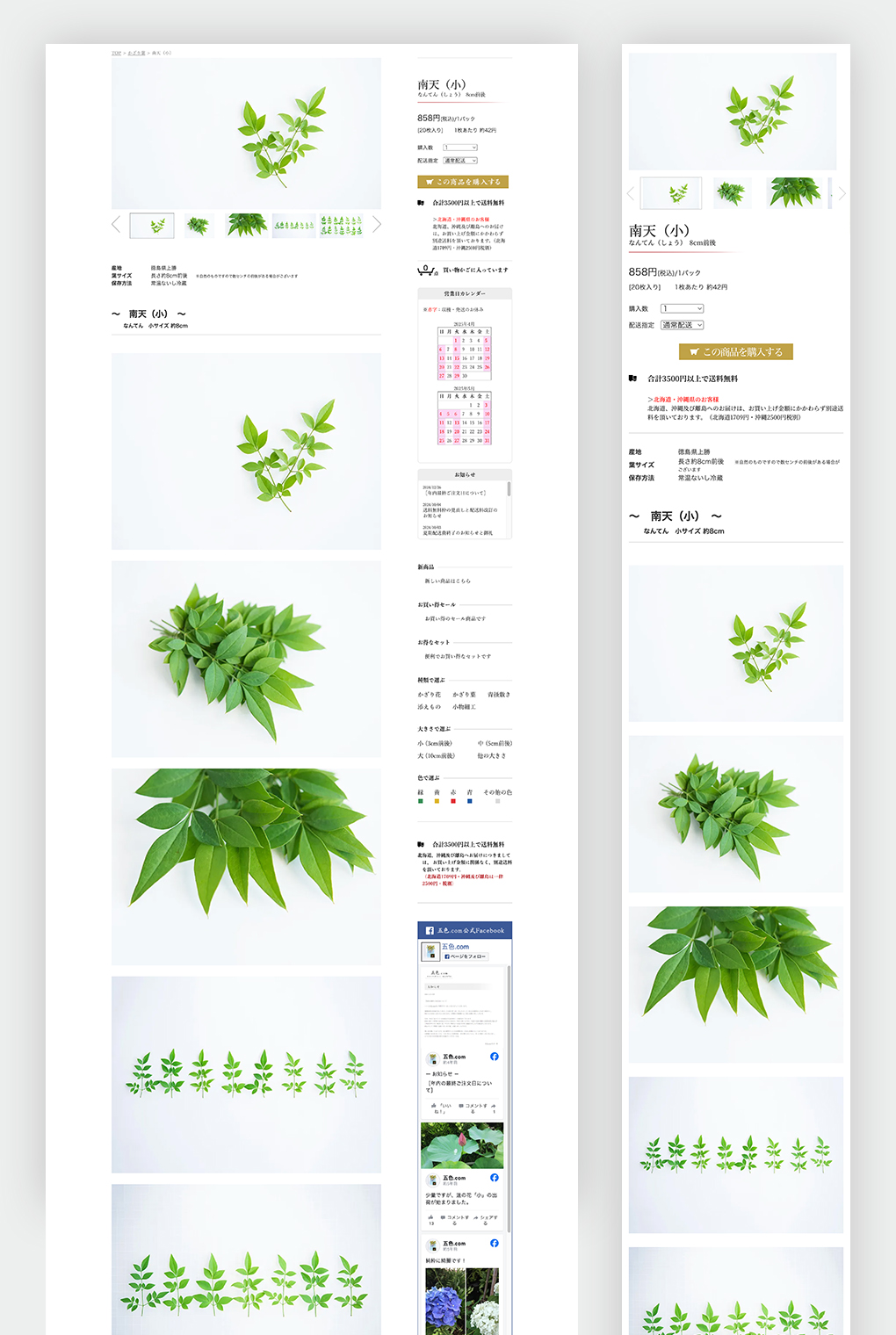 
                        富士八州株式会社　「五色.com」ECサイト                        
