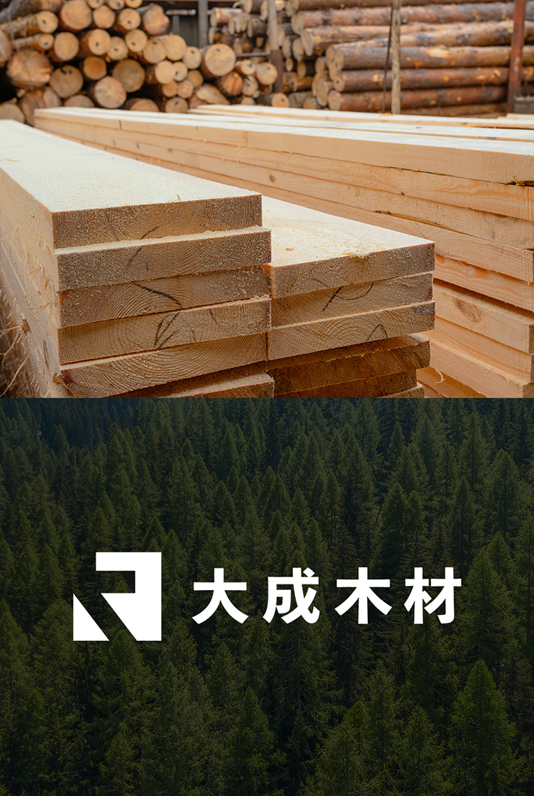 
                        大成木材株式会社　企業ブランディング                        